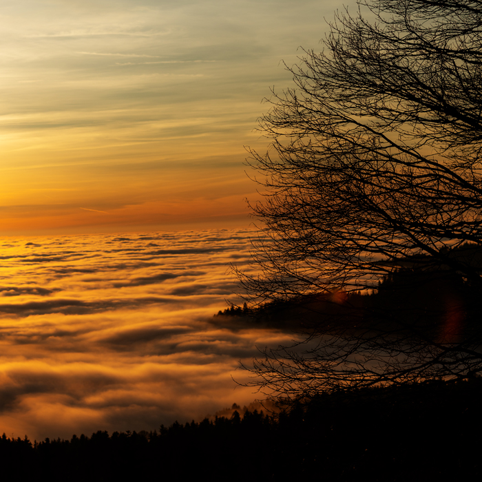 Straubing, Trails, steinig, Piste, anspruchsvoll, exklusiv, Premium-Hotel, Wellness, Gourmet, Wein, entspannt, Spannung, aufregend, Begeisterung, Abenteuer, G-Klasse, Offroad, Steigung, Gefälle, Schrägfahrt, Wasserdurchfahrt, Verschränkung, Erlebnis, Bayerischer Wald, Natur, Dachzelt, Lagerfeuer, Hotel, Zelt, Camping, Mercedes-Benz, Schöckl, Graz, Steiermark, Landeshauptstadt Graz, Geburtsstätte, G-Class Experience Center, Unmittelbar, Hausberg, Legende, Exklusiv, Luxus, Mercedes Benz, G500, G63, AMG, 4x4, Sotschi, Expedition, Experience, Off-Road-Fahrzeuge, Messe, Geländewagen, SUVs, wichtig, Hersteller, Allrad-Fahrzeug, Off-Road-Fahrzeug, ABENTEUER & Allrad, namhaft, Vielzahl, Modell, Reisemobil, Caravaning, Boom, Reisemobil-Branche, Expeditionsfahrzeug, Wüste, Wüstenfahrzeug, Wohnmobilaufbau, Anfassen, Quads, ATVs, Zweiräder, Markt, ideal, Plattform, Reise, Westalpen, Ausgangspunkt, Offroad-Reise, hektisch, Alltag, spannend, Spannung, Kurvenreich, Sträßchen, Straße, Weg, Hoch, höchsten, Alpenpass